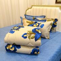 Ensemble de literie 6 pièces King Size en coton doux avec rideaux, prêt à être expédié