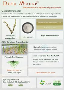 Nouvel Agent d'Enracinement Naturel Dora Arouse, Bio-Stimulant, <span class=keywords><strong>Engrais</strong></span> Hormonal Végétal, Poudre Agrochimique Certifiée ECOCERT - Product Image 3