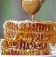Hot Selling Natural Fresh Honeycomb 100% Bio essbare Wild honig Bulk Honeycomb in Box Verpackung