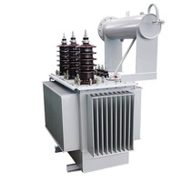 Transformateur immergé dans l'huile S20-M 315 kVA, bobinage en cuivre de haute qualité, noyau CRGO, faible perte, fabriqué en Chine pour postes de distribution