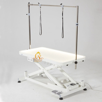 Table de toilettage pour chiens EUR PET, best-seller, professionnelle, électrique, avec levage LED, pour chiens