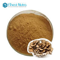 Extrait de champignon Maitake d'approvisionnement d'usine Grifola Frondosa Mycelia Polysaccharide 10%-50% Poudre d'extrait de champignon Maitake
