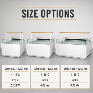 Refrigerador Comercial Abierto para Preparación de Sándwiches 4-10C R134a 220V, Mostrador Exhibidor de Ensaladas para Restaurantes, Cafeterías y Servicios de Alimentos - Product Image 2