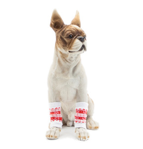 Penutup Kaki Anti Kotor Pelindung Kaki Bantalan Lutut Penutup Kaki Anjing Kaus Kaki Anjing Anti Urine Penutup Kaus Kaki Teddy Pelindung Sendi - Product Image 2