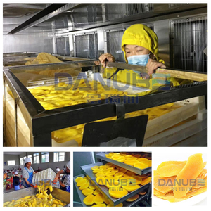 Máquina secadora de frutas semiautomática, naranja, limón, azufaifo, mango, melocotón, plátano, manzana, secador de patatas fritas - Product Image 2