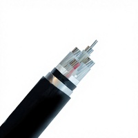 Cable Armado de Aluminio con Aislamiento XLPE y PVC YJLV22 de 0.6/1KV para Cableado Subterráneo