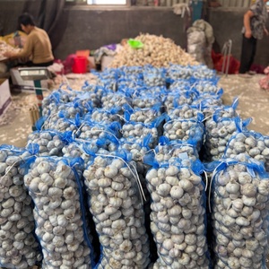<span class=keywords><strong>Ail</strong></span> frais blanc entier non pelé rouge-violet, importateur et distributeur Afrique Moyen-Orient, conteneur 29 tonnes - Product Image 3