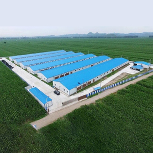 กรงชั้นบ้านไก่โครงสร้างเหล็กดีไซน์ทันสมัยสำหรับฟาร์มสัตว์ปีกไก่ - Product Image 4