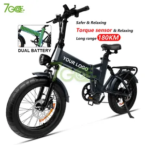 20 inch dual battery 48v 750W 25.4ah Torque fat tire electric Hybrid bike ebike foldable Torque folding bike electric bicycle