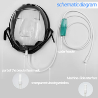 Nouveau Masque à Hydrogène Beauté 2026 avec Alimentation au Gaz et Boîtier en Plastique pour Machines d'Inhalation d'Hydrogène, Masque d'Absorption d'Hydrogène