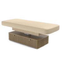 Table de massage et de spa réglable CNF-C Ness Beauty Salon avec 2 tiroirs pour utilisation dans le salon