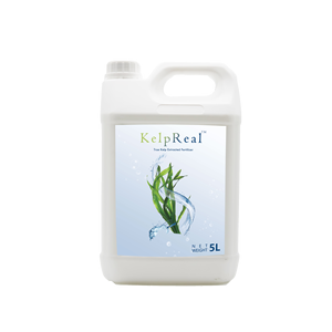 Dora 100% ผงสาหร่ายเอนไซม์ทางการเกษตรที่ละลายน้ำได้ปุ๋ยอินทรีย์กรดอัลจินิกสำหรับแตงโม - Product Image 5