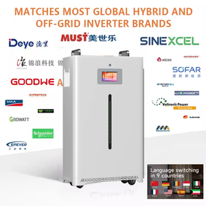 Paquete de Baterías Divididas LiFePO4 de 51.2V 320Ah con Clasificación IP65 para Almacenamiento Solar Fuera de la Red, 16.384kWh, 8000 Ciclos, BMS, Fácil Instalación - Product Image 4