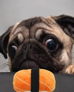 Atacado pacotes de deleites do cão-Venda por atacado de sushi do amazon online compras, brinquedo de pelúcia do cachorro com pacote de tratados