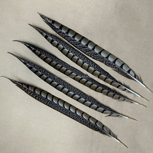 Plumas de Faisán Lady Amherst de 35-40cm al por Mayor, Plumas Naturales para Decoración de Fiestas de Carnaval, Centros de Mesa - Product Image 4