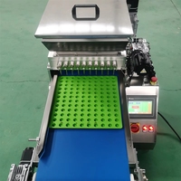 Industriële snoepgoedmachine voor het maken van fruit, harde gummyberen, zachte gelei en zetmeelproducten; effectieve procesketen.