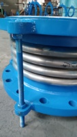 Junta de Expansión Metálica Revestida de PTFE XQH-BCQ DN100 L95mm PN0.25Mpa, Serie para Sistema de Tuberías Resistente a la Corrosión, Absorbe Impactos Bruscos