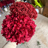 Fleurs de mariage bordeaux, grande fleur d'hortensia à feuille unique préservée pour fournitures de fleuristes