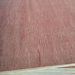 Contrachapado Comercial con Núcleo de Eucalipto y Cara de Madera Dura Mixta Bintangor/Okume/Pino, Núcleo de Eucalipto y Cara de Madera Dura Mixta, 18 mm - Product Image 1