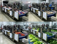 Sécheur d'air industriel à haut débit pour légumes, fruits, transformation alimentaire, système de séchage par convoyeur, fabricant en acier inoxydable
