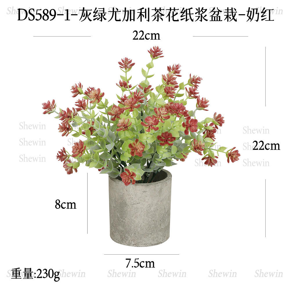 Plante en pot de pulpe de camélia Ds589-1-milk rouge gris vert