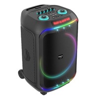 Valise portable d'extérieur, connectable en Bluetooth et équipée d'un microphone sans fil W12