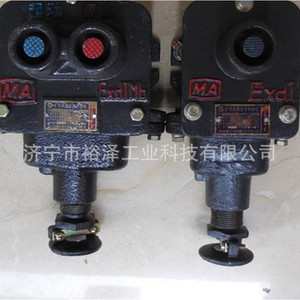 Botón de Control a Prueba de Explosiones para Minería BAZ, 3 Vías, 220V CA, 10A, IP41, Acero, Automatización Industrial - Product Image 5