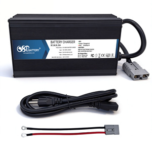 Cargador de batería GSP 28V 25A LiFePO4, cargador portátil inteligente de 24V de fosfato de hierro y litio AC DC para paquete de baterías de vehículos eléctricos - Product Image 1