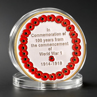 Moneda Conmemorativa de la Primera Guerra Mundial - Moneda de Hierro para Bodas y Cumpleaños