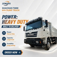 Лидер продаж: Самосвал Shacman 6X4, 12-20 тонн, трехосный, Евро-3, Weichai, лево-/праворульный, для тяжелых условий эксплуатации, для строительства и горнодобывающей промышленности