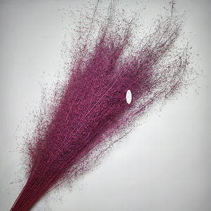 Flor Eterna, Decoraciones para Bodas, Hierba Muhly Seca, Ecológica, para el Hogar, Halloween, Navidad, Día <span class=keywords><strong>de</strong></span> la Madre, Graduación - Product Image 6