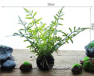 Grande Plante Artificielle Murale Décorative pour Jardinage, DIY, avec Fleurs et Fougères Artificielles pour Gazon Synthétique - Product Image 4