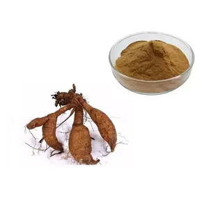 High Quality Wholesale Pueraria Montana Var. Lobate Extract 4:1 Kudzu Root Extract Powder