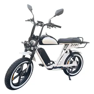 Lantu-Bicicleta eléctrica con motor de 48v y 1000w, neumáticos anchos con doble suspensión, venta al por mayor de China