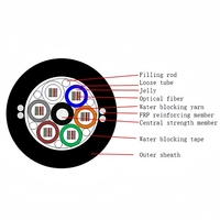 Kabel Serat Optik PVC Mode Tunggal GYFTDY untuk Pusat Data 10 Konduktor Tipe Serat Solid G657A1