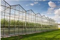 Invernadero Venlo de Vidrio Templado con Estructura de Acero y Sombreado Externo para Agricultura y Turismo