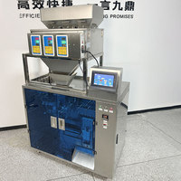 Machine d'emballage automatique pour aliments pour animaux de compagnie, nourriture pour chats, nourriture pour chiens, poulet lyophilisé, sachet debout avec fermeture éclair, granulés, sachet pré-fabriqué, doypack