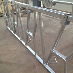 Hot Dip galvanizado Jersey vaca Headlock usado ganado Feed Headlock precios en <span class=keywords><strong>la</strong></span> India para <span class=keywords><strong>la</strong></span> <span class=keywords><strong>venta</strong></span> 6 metros de largo de 8 vacas Lock - Product Image 6