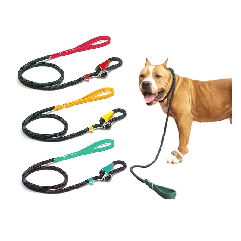 Corde ronde en nylon à l'épreuve du cou pour animaux de compagnie Laisse de marche pour chien à chaîne P avec poignée en mousse confortable