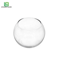 Pot de Poisson en Verre Rond Clair, Vente Chaude, Plusieurs Tailles, pour Plantes ou Bonsaïs, Vente en Gros