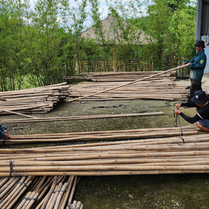 Bâtons de bambou durables pour les pépinières et les petites exploitations - Product Image 3