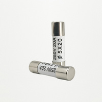 Fusibles AC personnalisables ZHENGRONG R054 certifiés IEC à soufflage rapide en céramique pour automobile, haute capacité de coupure, basse tension 20A, vente en gros