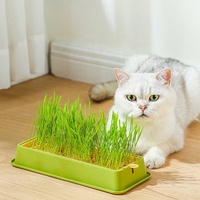Kit de culture d'herbe pour chat, collations pour chat, boîte de plantation d'herbe hydroponique pour chat