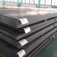 Tôles et plaques en acier au carbone laminé à chaud de première qualité, résistantes au feu, pour applications murales de villas, conception industrielle, projet global