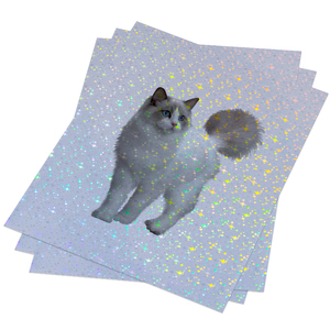 시각적 미학을 향상시키는 PVC 홀로그램 레이저 열 라미네이팅 필름 PET 홀로그래픽 오버레이 콜드 라미네이팅 오버레이 - Product Image 2