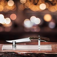 Présentoir de gros en acrylique pour couteaux à lame fixe, support de collection de bureau pour Dirk, Balisong, Switchblade, Buck 110, Kabar