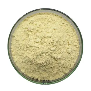 Supply Plant Scutellaria Baicalensis Extract Wogonin 98% Cas 632-85-9