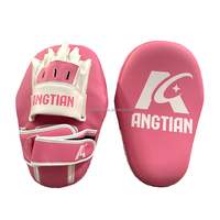 ANGTIAN Fournisseur Personnalisé Classique Poids Léger Entraînement Air Thai Pads Fight Gear Impact MMA Boxe Air Thai Pads