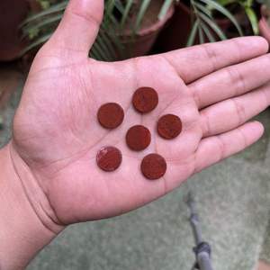 แจสเปอร์สีแดงธรรมชาติ 12 มม. ทรงกลมแบน คาโบชอง พลอย 2 กะรัต สำหรับทำเครื่องประดับ จี้ แหวน สำหรับผู้ชาย ผู้หญิง - Product Image 4