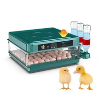 Vente chaude Double Incubateur Intelligent Électrique pour Oeufs De Poulet Nouvelle Condition 220V Tension